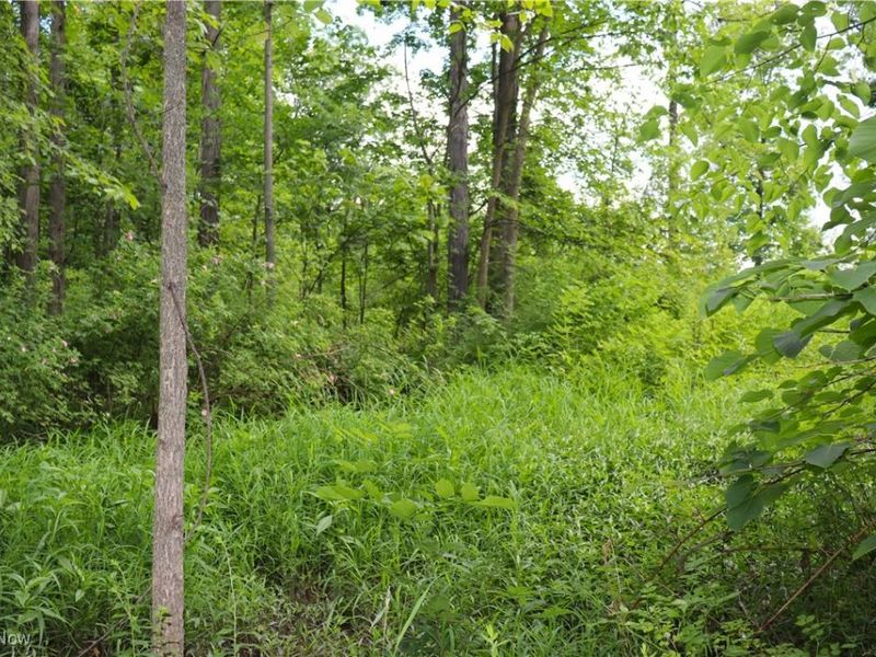 S/L 26 Overture Drive, Newbury, OH 44065 Photo 5