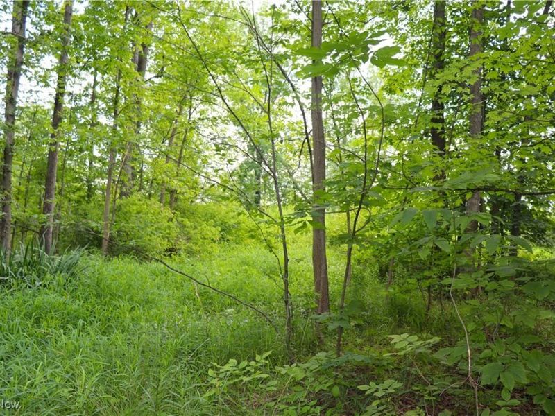 S/L 26 Overture Drive, Newbury, OH 44065 Photo 6