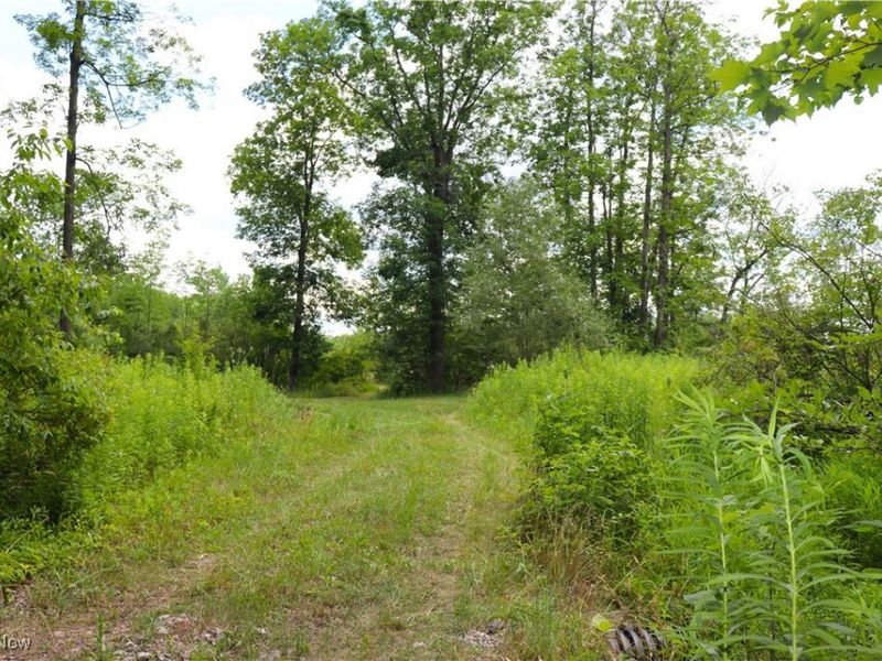 S/L 26 Overture Drive, Newbury, OH 44065 Photo 8