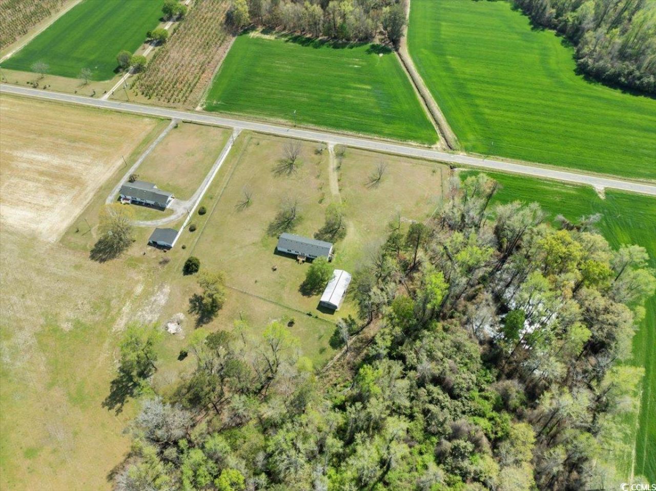 1130 Buck Swamp Rd. Photo 30