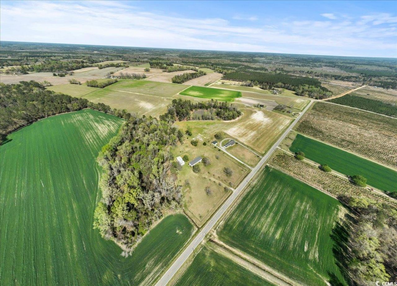 1130 Buck Swamp Rd. Photo 32