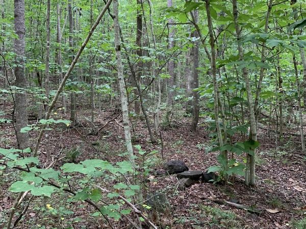 GLADE RD, SCHUYLER, VA 22969