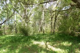 1558 Scott Hill Road photo 4