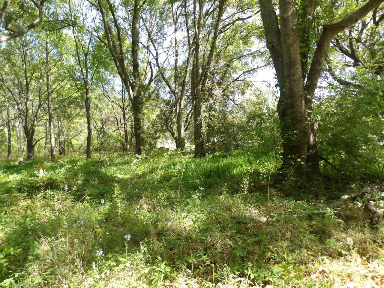 1558 Scott Hill Road Photo 4