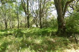 1558 Scott Hill Road photo 4