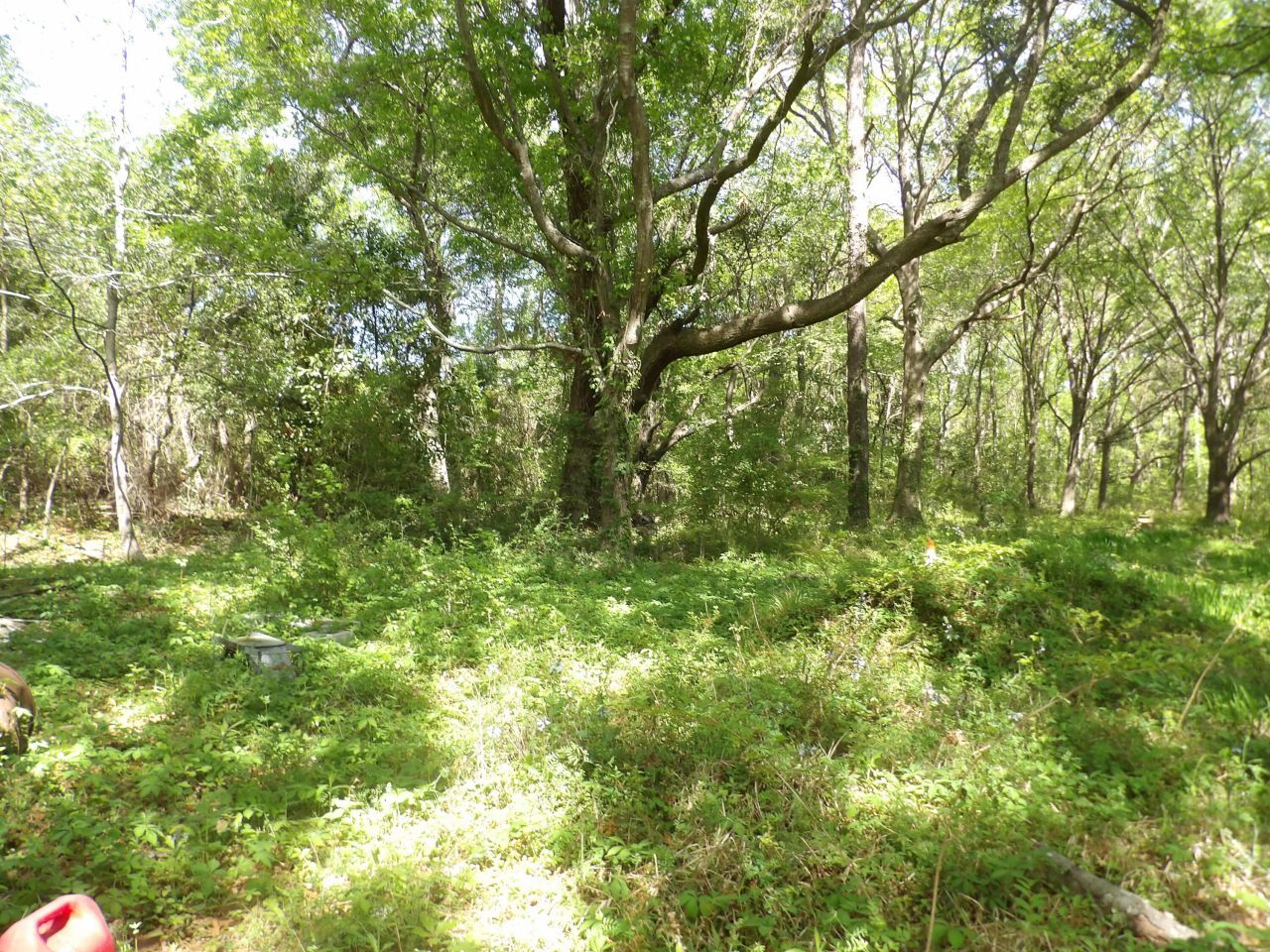 1558 Scott Hill Road Photo 5