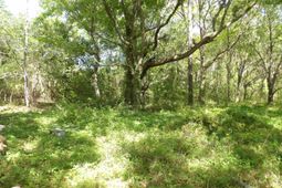 1558 Scott Hill Road photo 4