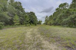 133 Dewees Inlet Drive photo 4