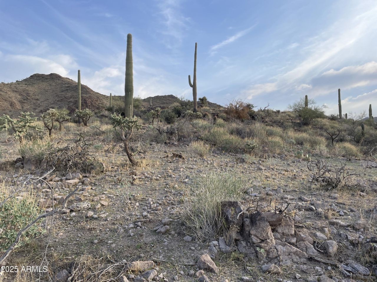 009 N Elephant Butte Road, Queen Valley, AZ 85118
