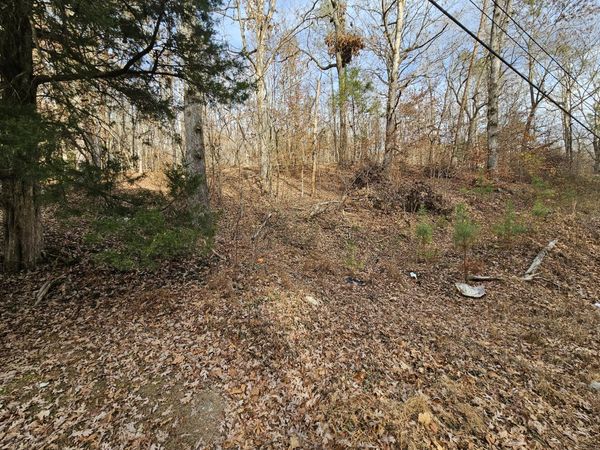 Lot 7 Smyrna Road, Evensville, TN 37332