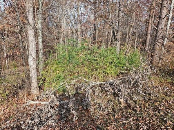 2930 Smyrna Heights Road, Evensville, TN 37332