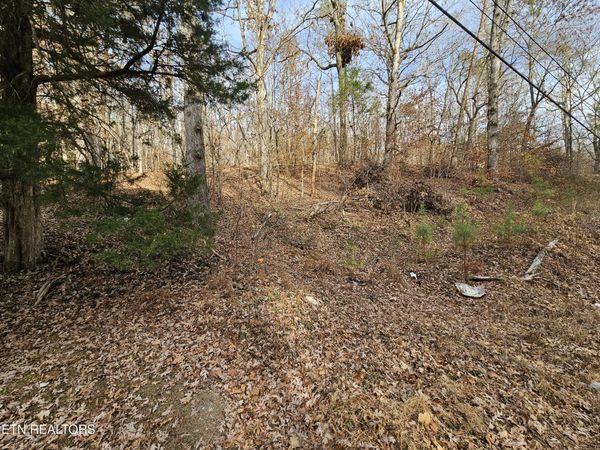 Lot 7 Smyrna Rd, Evensville, TN 37332