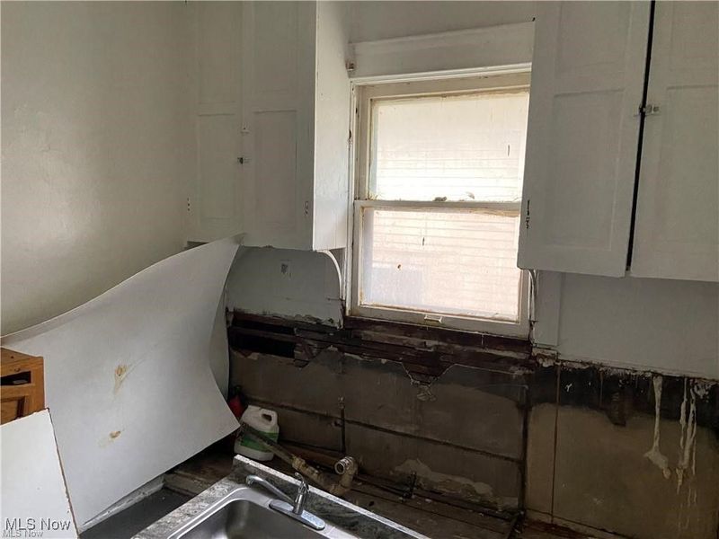 1317 E 115th Street, Cleveland, OH 44106 Photo 10