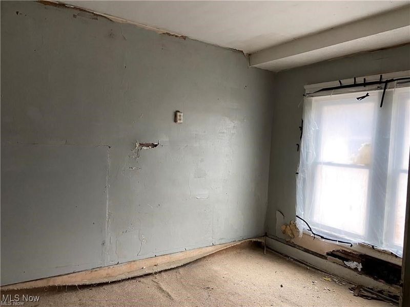 1317 E 115th Street, Cleveland, OH 44106 Photo 9