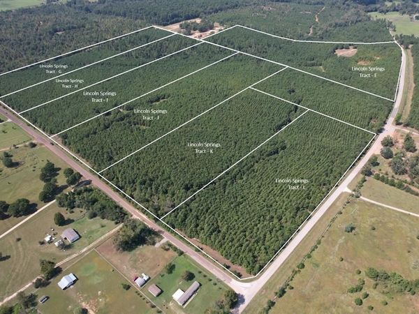 TBD-H Lincoln Springs Rd, Gladewater, TX 75647