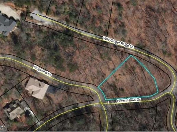 0 Brown Hawk Drive, Clayton, GA 30525