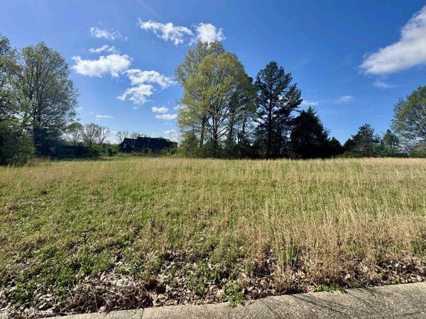 060 YORK CMNS ST, Ripley, TN 38063