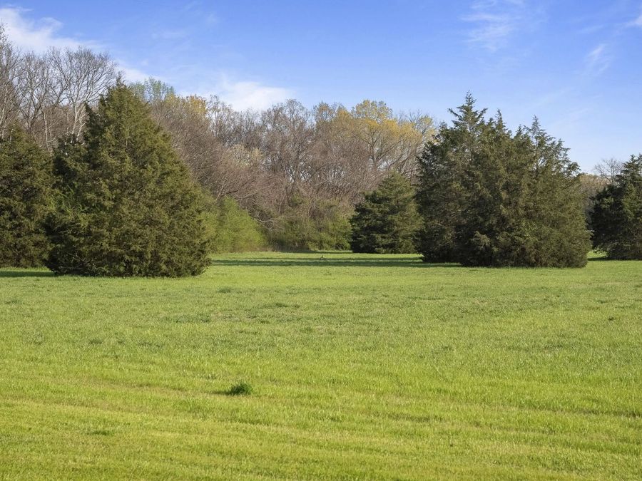 Property Image 78