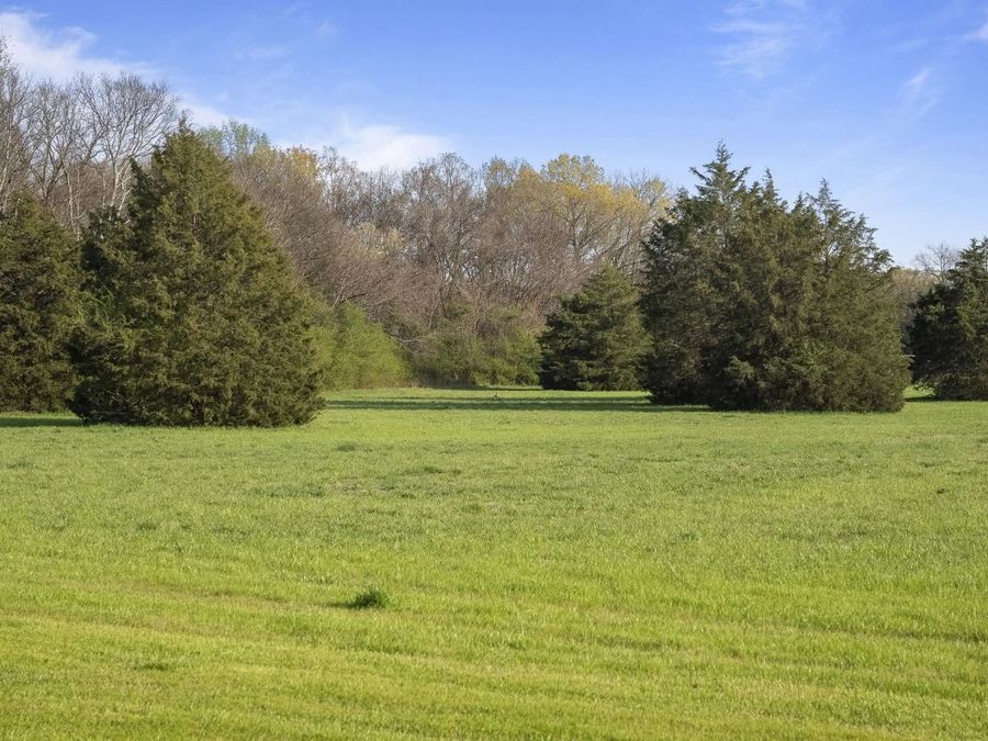 Property Image 78