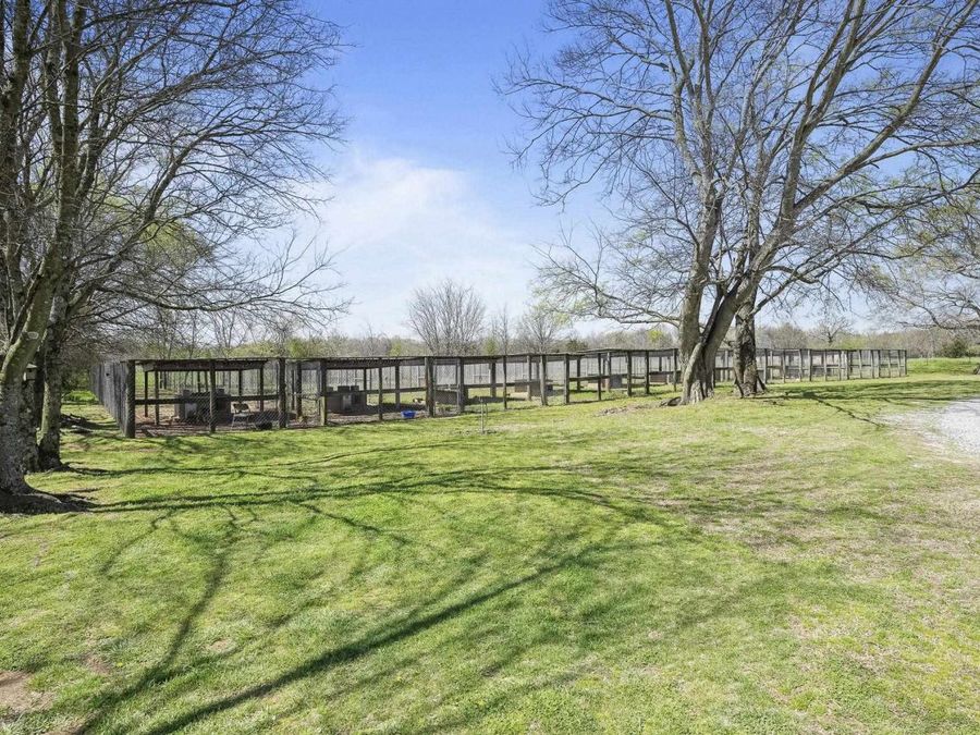 Property Image 88