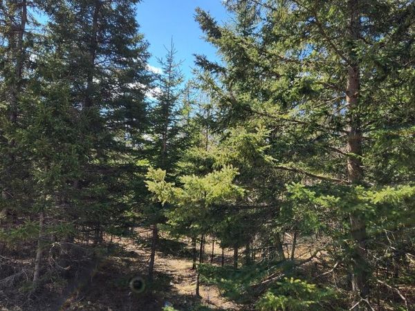 46.6 Acres +/- Vacant Land US-131, Boyne Falls, MI 49713