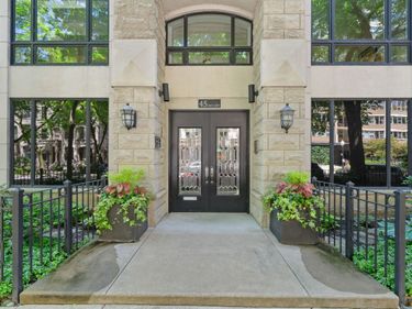 45 E Cedar Street, Unit 200, Chicago, IL 60611
