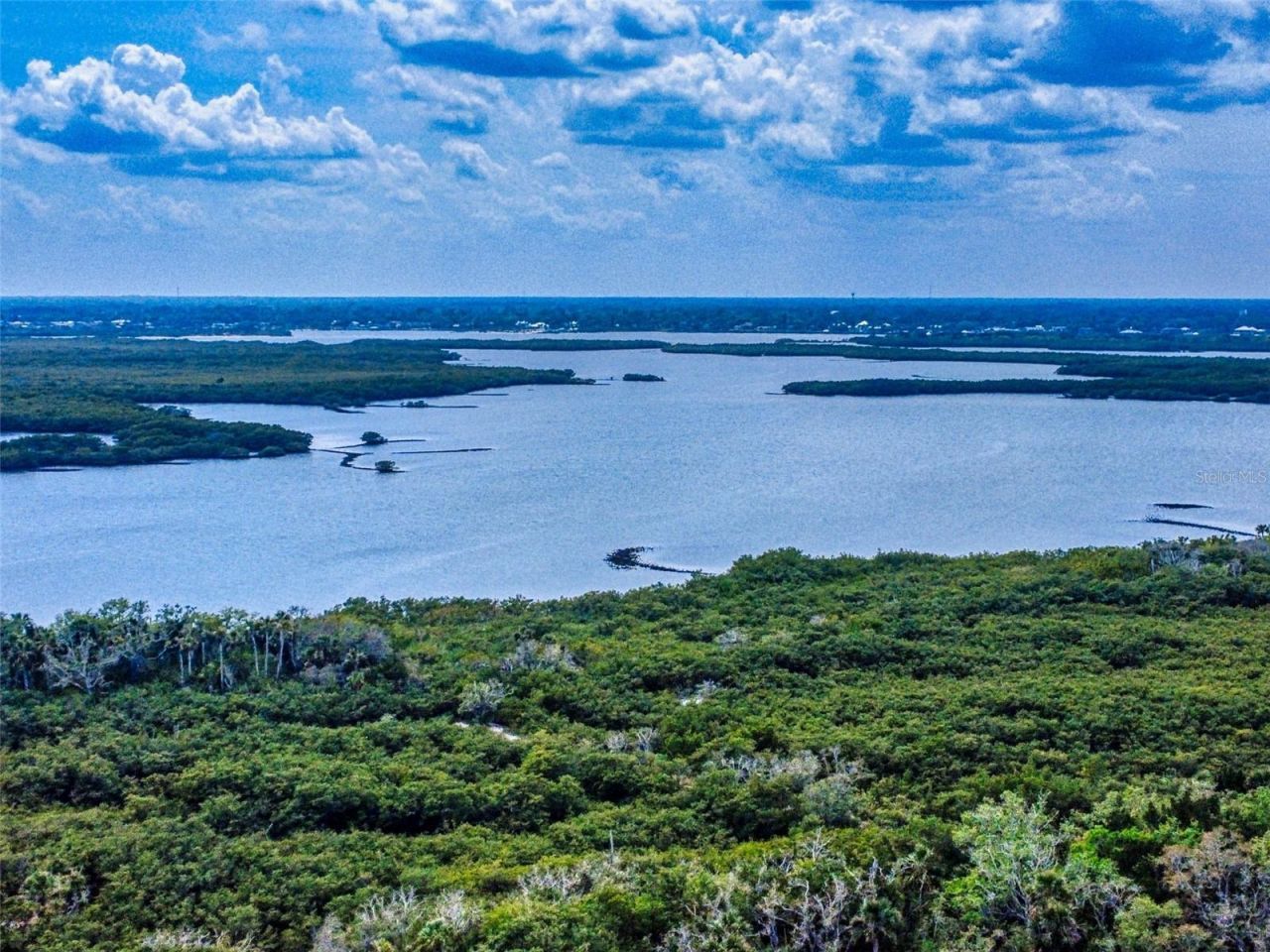 133 Cedar Dunes Drive, New Smyrna Beach, FL 32169 Photo