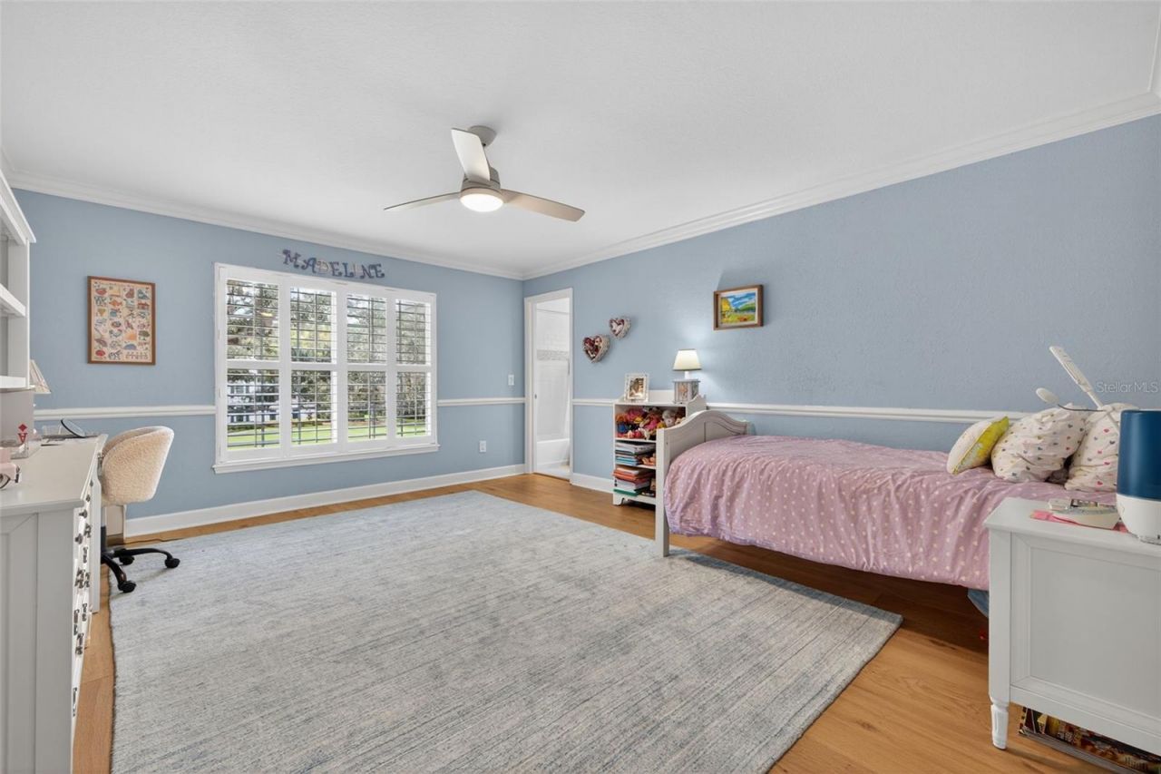 4121 Highland Park Circle, Lutz, FL 33558 Photo