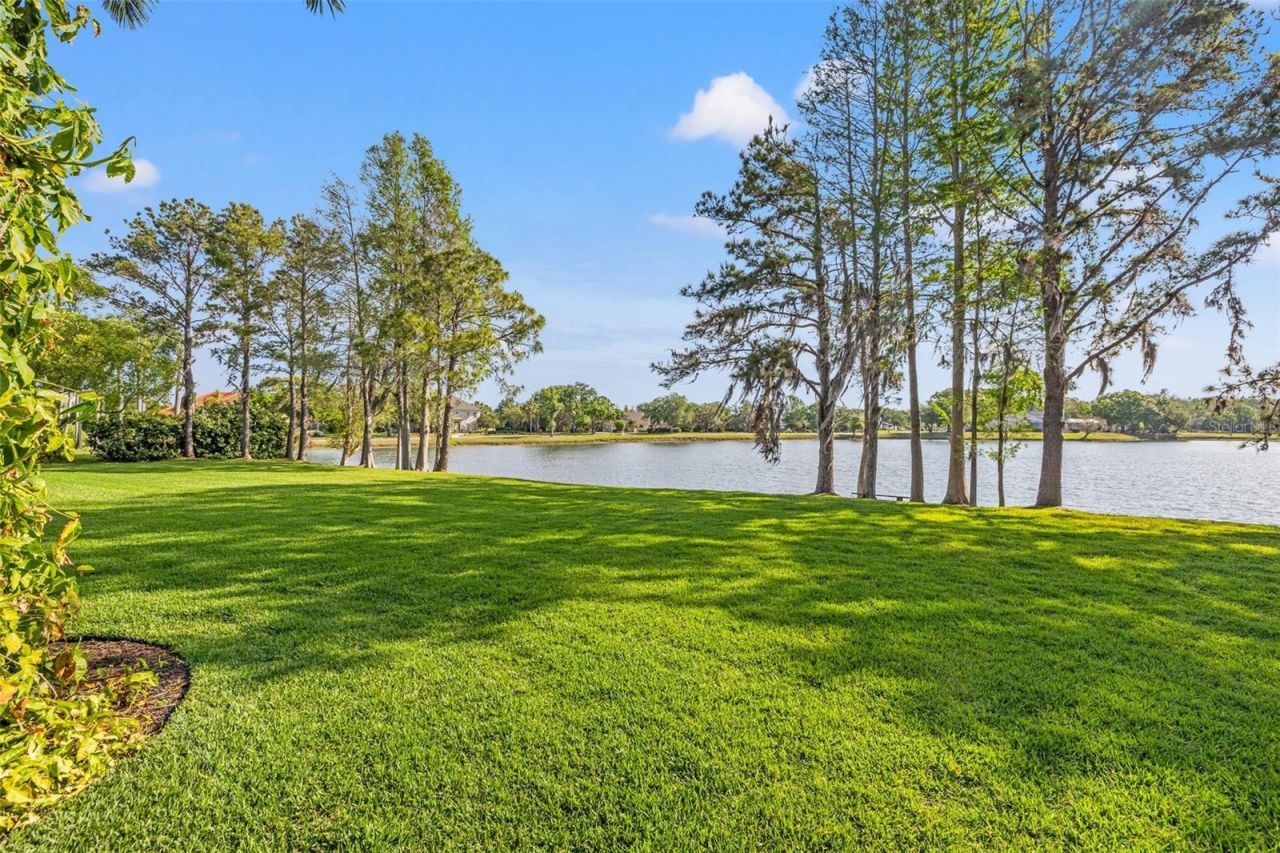 4121 Highland Park Circle, Lutz, FL 33558 Photo