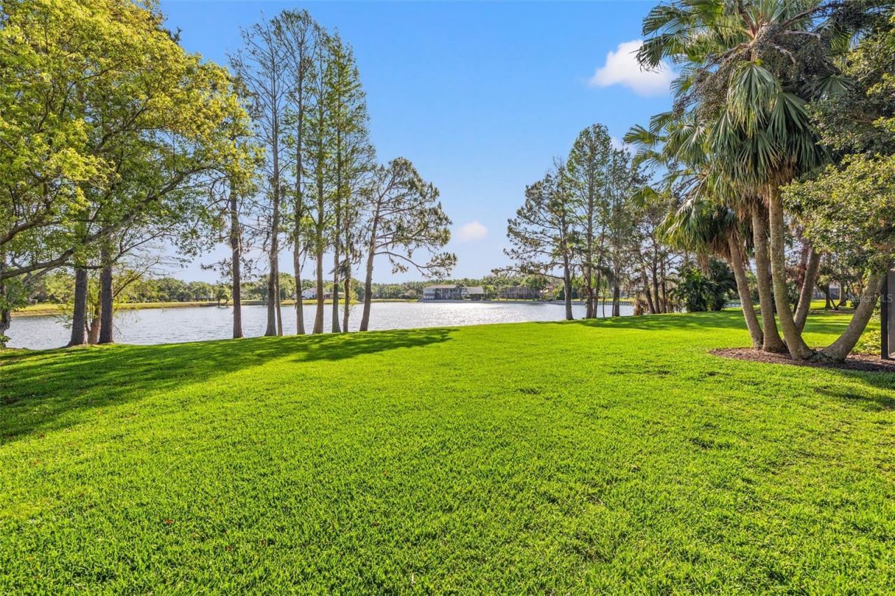 4121 Highland Park Circle, Lutz, FL 33558 Photo