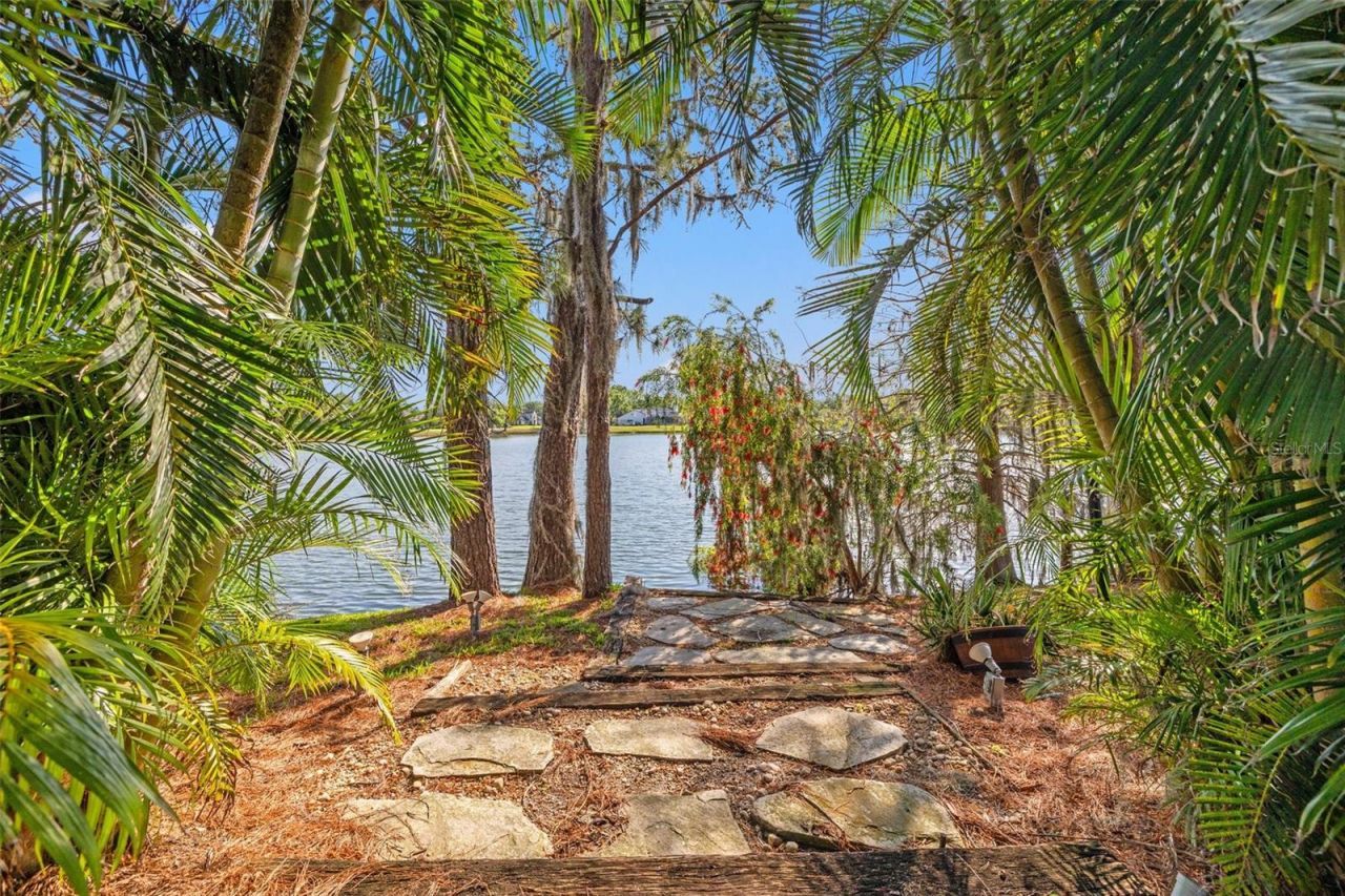 4121 Highland Park Circle, Lutz, FL 33558 Photo