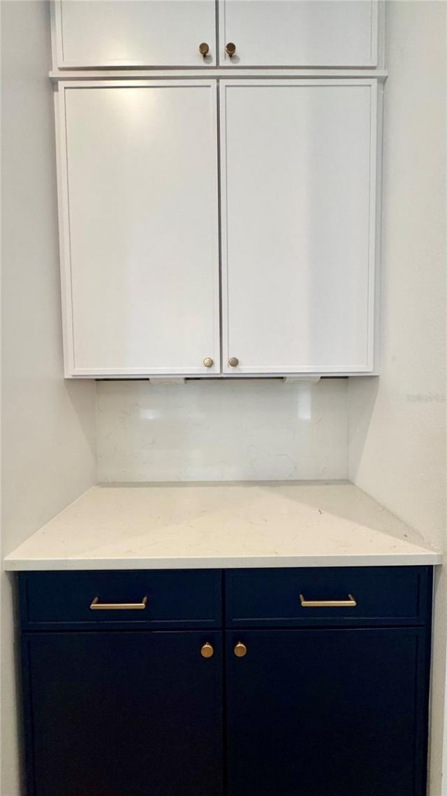 803 W Woodlawn Avenue, Tampa, FL 33603 Photo