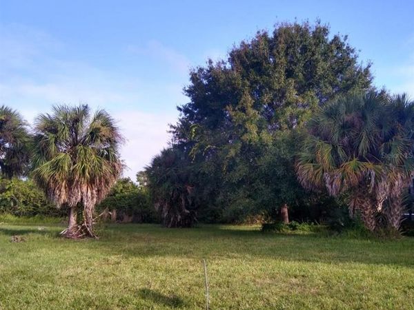 81 LONG MEADOW PLACE, ROTONDA WEST, FL 33947