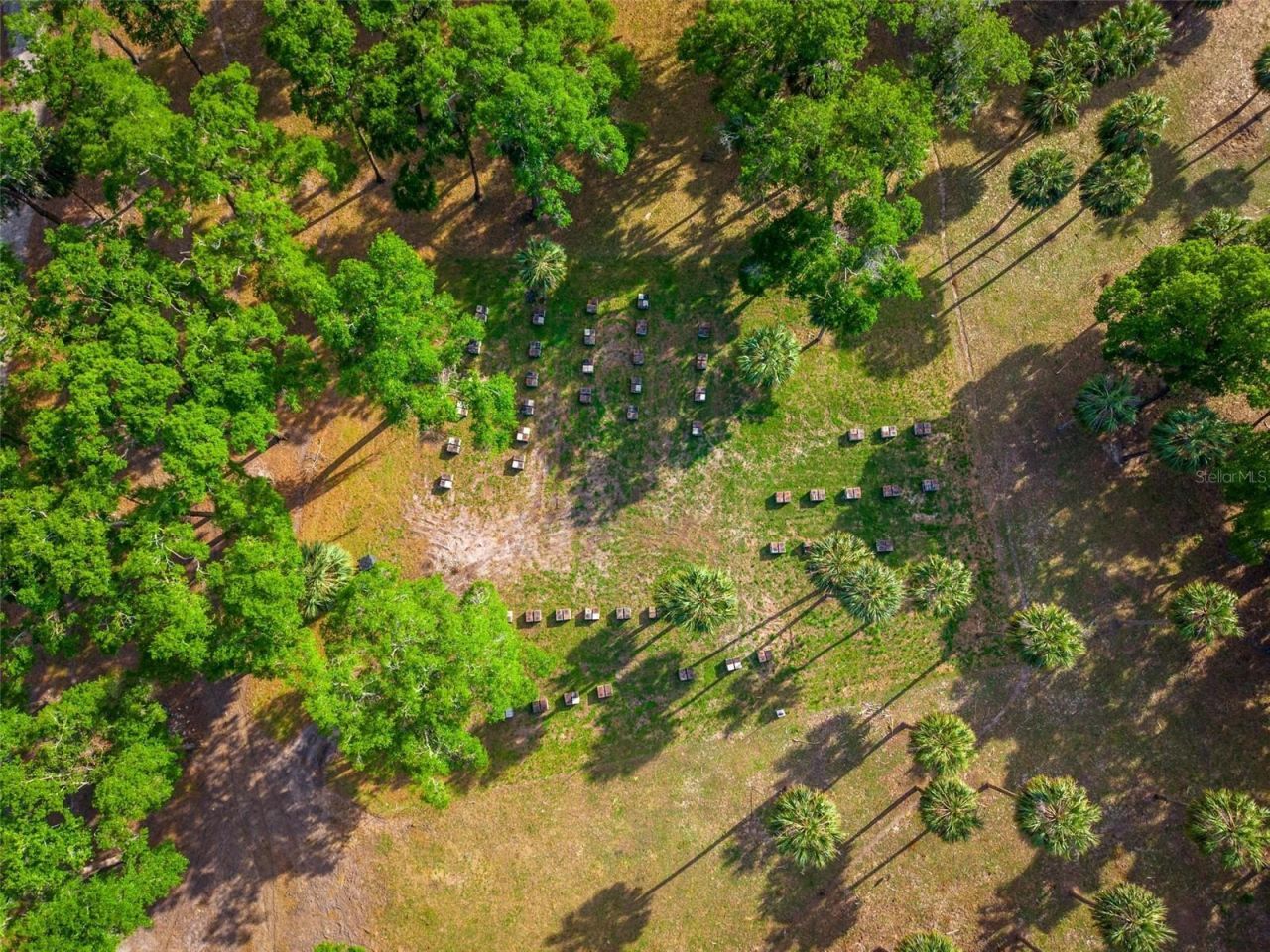 Fishermans Road, Paisley, FL 32767 Photo