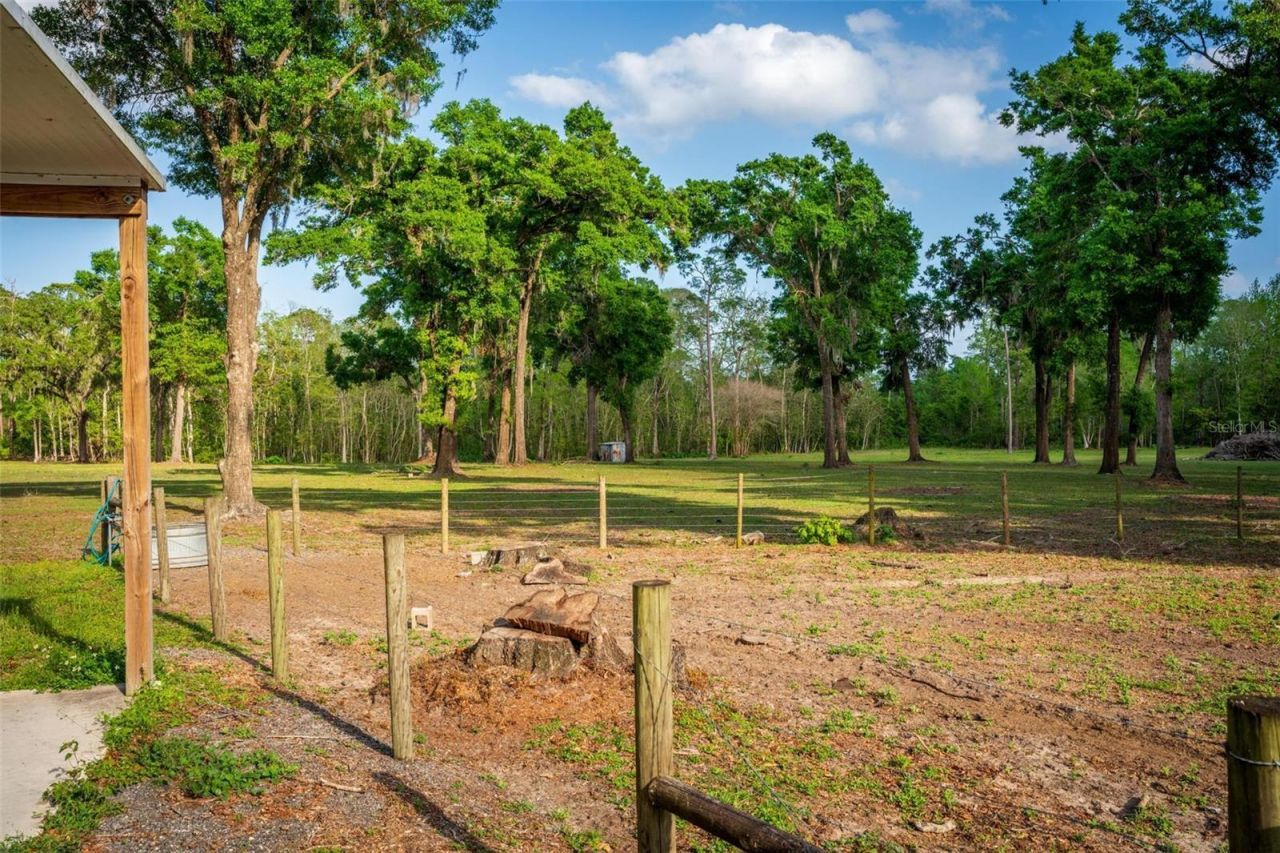 Fishermans Road, Paisley, FL 32767 Photo