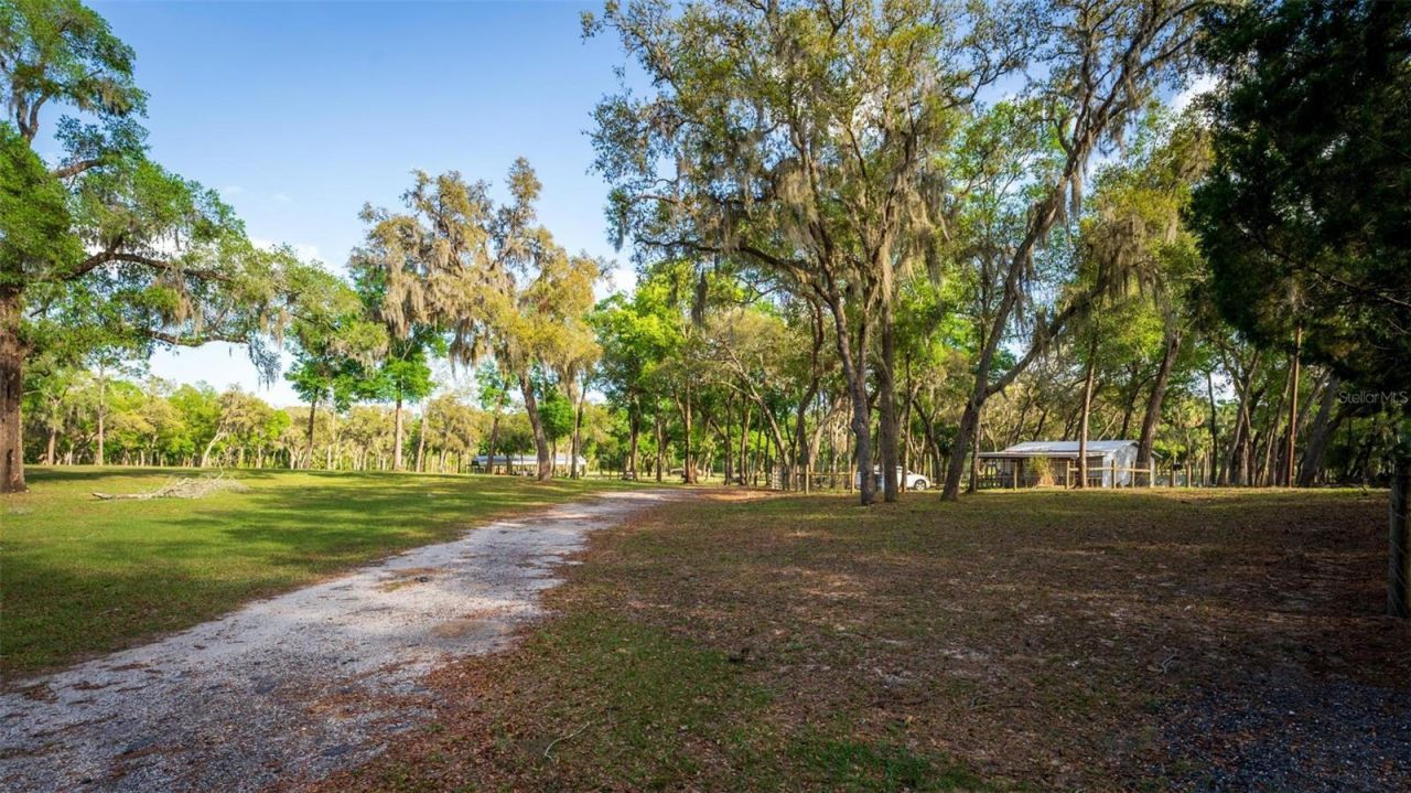 Fishermans Road, Paisley, FL 32767 Photo