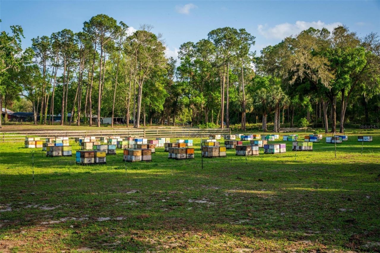 Fishermans Road, Paisley, FL 32767 Photo