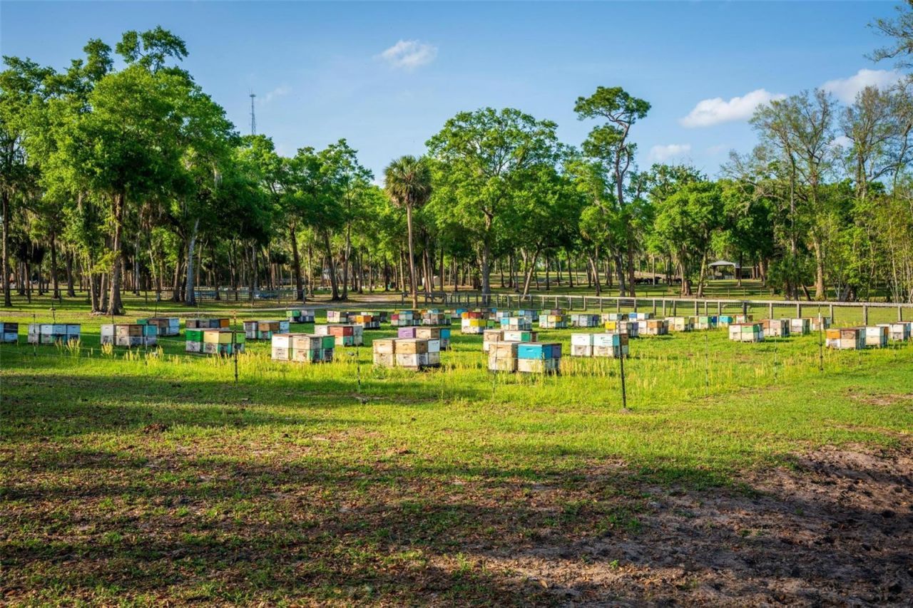 Fishermans Road, Paisley, FL 32767 Photo