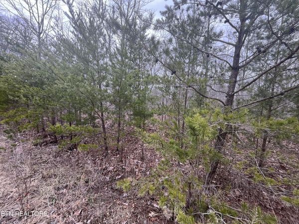 0 Maple Lane, Pikeville, TN 37367