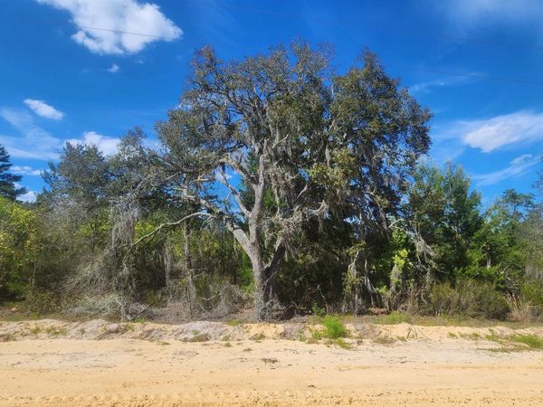 0 Birch St, Interlachen, FL 32148