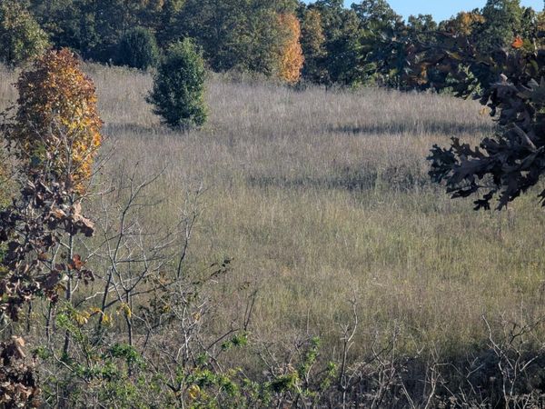 000 County Road 9610 State Rt Pp, Koshkonong, MO 65692