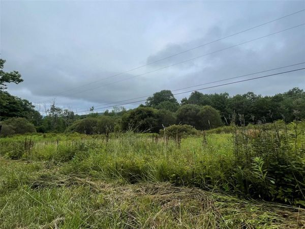 Basil Todd Road, Fleischmanns, NY 12430