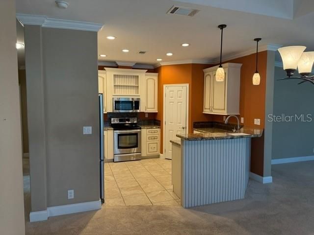 4851 W Gandy Boulevard, Unit B09L23, Tampa, FL 33611 Photo