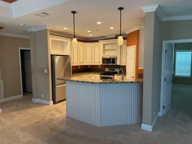 4851 W Gandy Boulevard, Unit B09L23, Tampa, FL 33611 Photo
