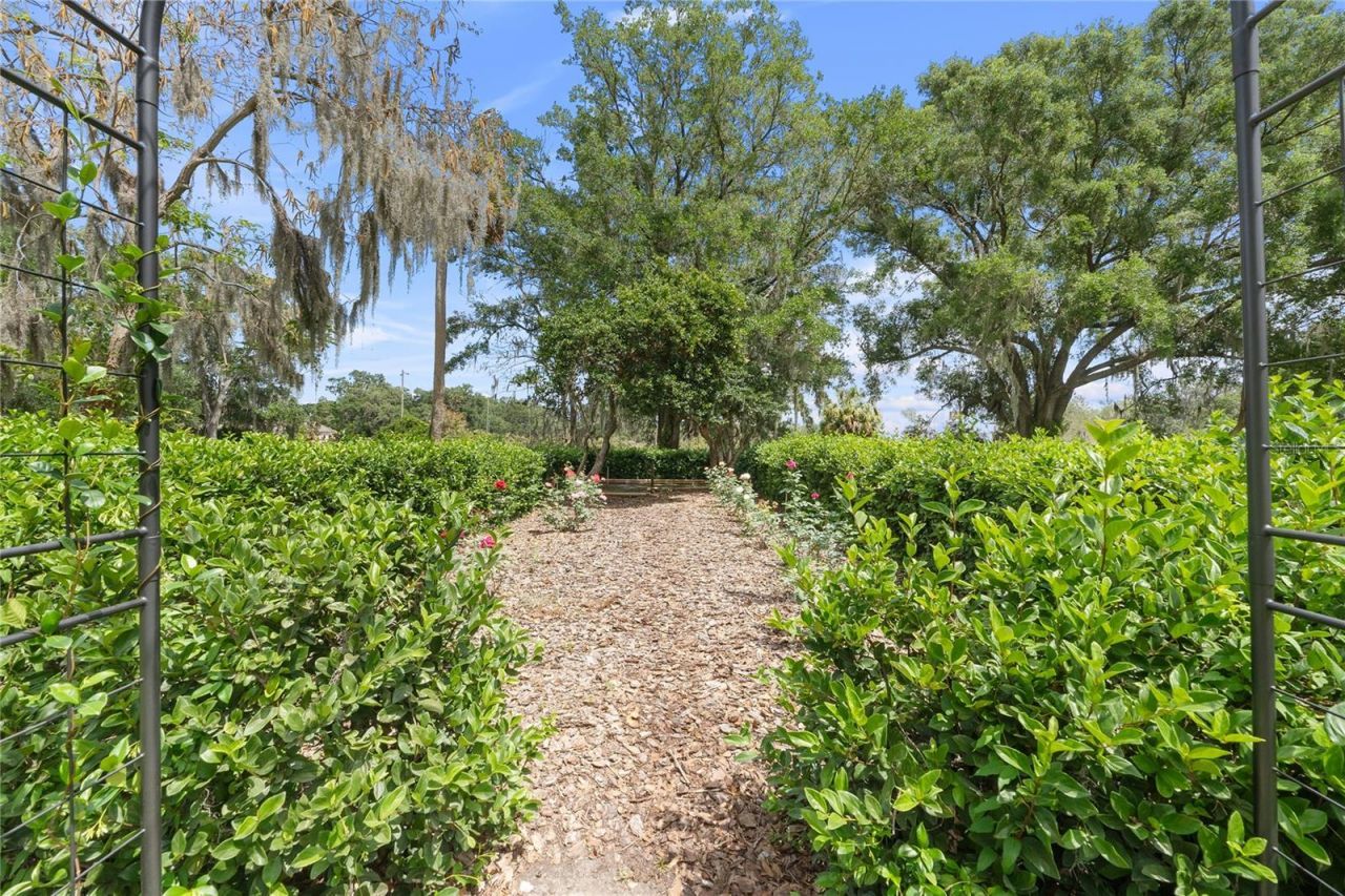 1760 Old Eagle Lake Road, Bartow, FL 33830 Photo