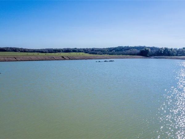 TBD CR 290, Carbon, TX 76435