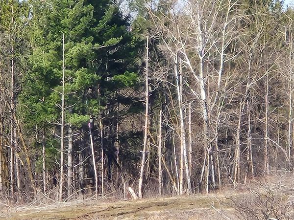 292ND STREET, Unit 034-1061-9, WI 54027