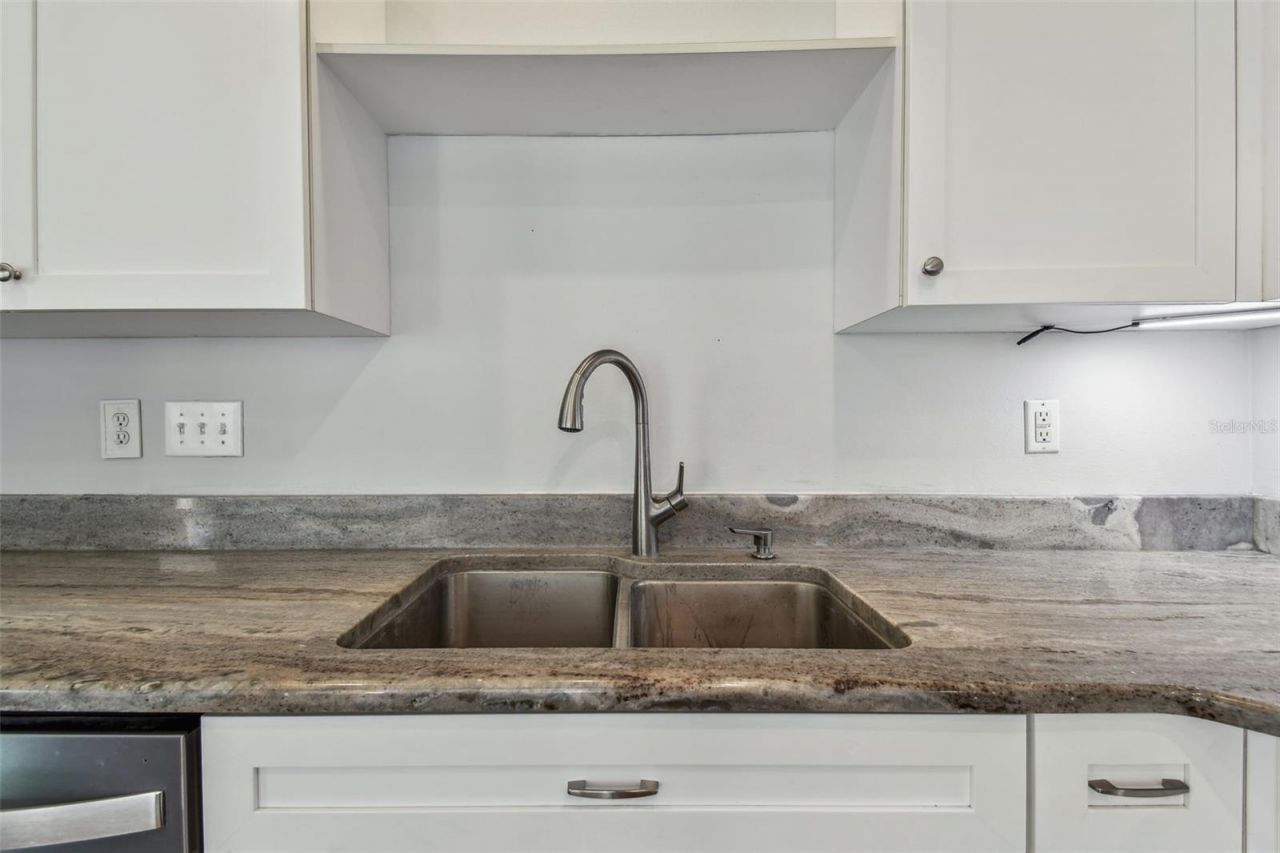 24231 Satinwood Court, Lutz, FL 33559 Photo