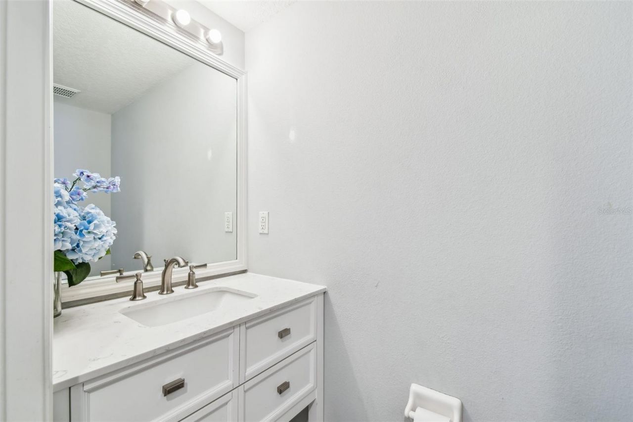 24231 Satinwood Court, Lutz, FL 33559 Photo