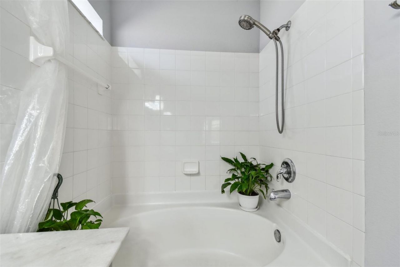 24231 Satinwood Court, Lutz, FL 33559 Photo